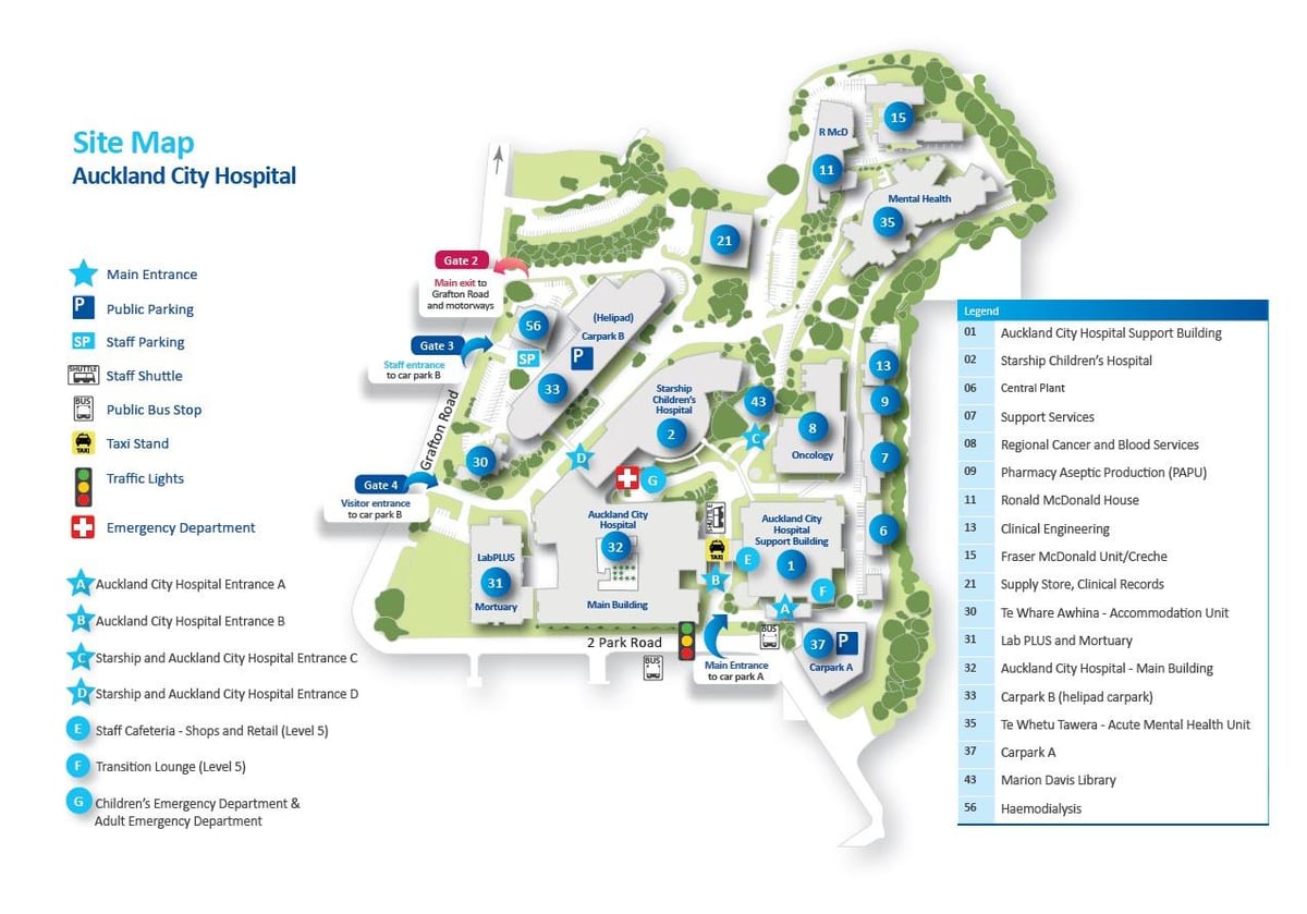 mappa di Auckland ospedale